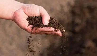 微生物肥料 土壤生态修复的绿色未来主力军