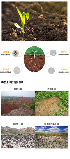 沸石土壤改良剂在土壤修复中的应用与优势
