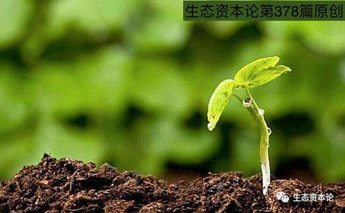 姜林亲赞土壤修复专家 提升“免疫能力”是未来修复关键