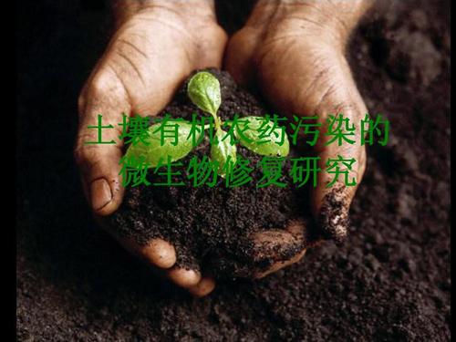 土壤有机农药污染的生物修复ppt