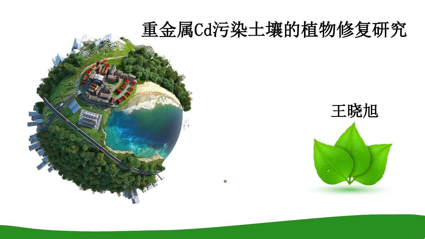 重金属污染土壤植物修复ppt_word文档在线阅读与下载_免费文档
